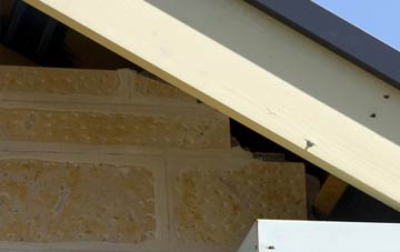 soffit repair Carlenrig